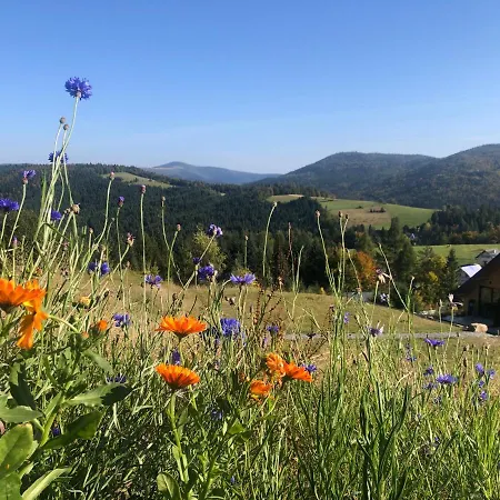 Bed & Breakfast Gorczanskie Zacisze Lubomierz (Lesser Poland)